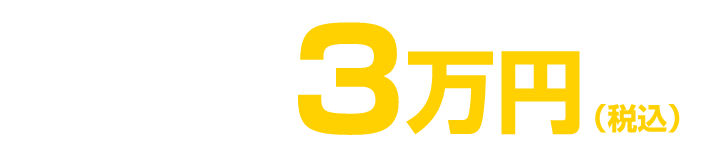 初回のみ3万円(税込)